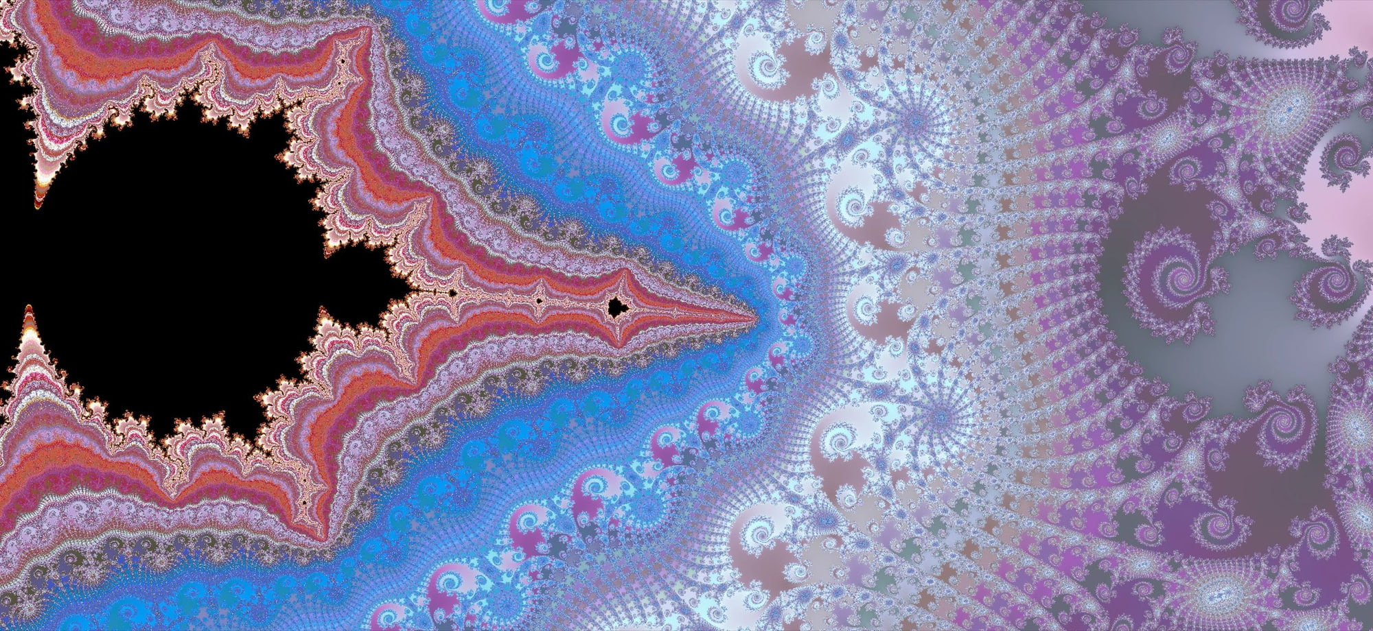 Fractal artwork accompanying The Mandelbrot Locally Connected Conjecture