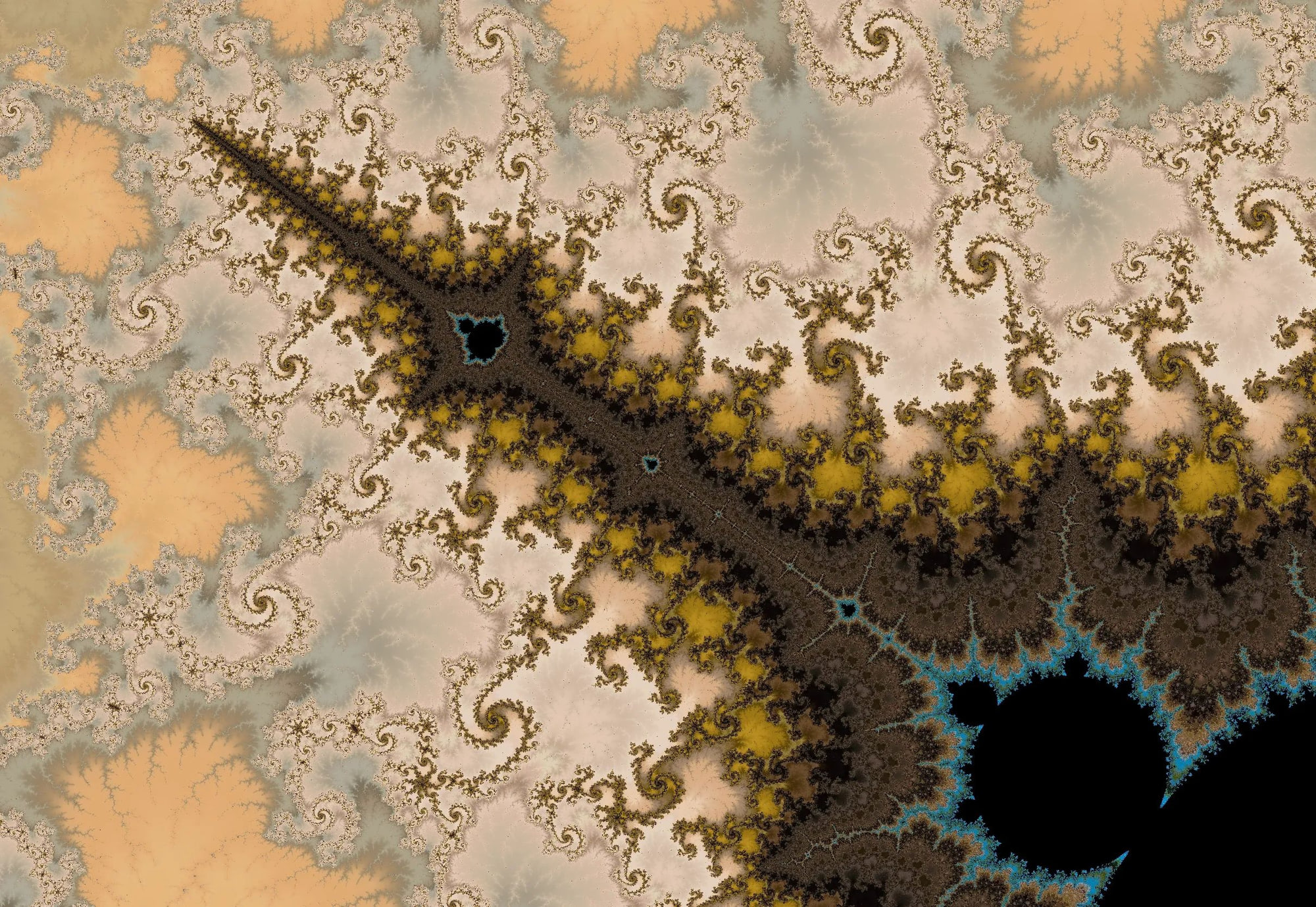 Fractal artwork accompanying A 40-Year Fascination